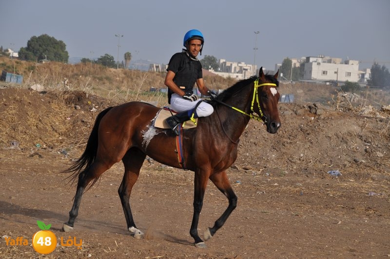 kheil sebaq (18).JPG